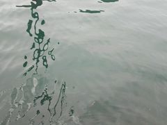 -石燕湖生态旅游景区