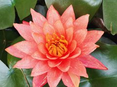 -花开海上生态园