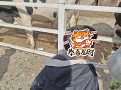 -哈尔滨北方森林动物园