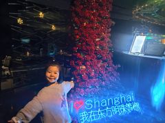 -东方明珠·空中旋转餐厅