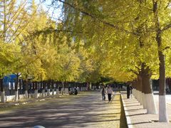 -辽宁大学(崇山校区)