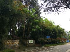 -铁山坪森林公园