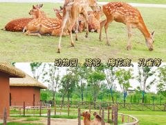 -祥源·阜阳生态乐园