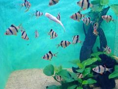 -常州海昌海洋探索馆