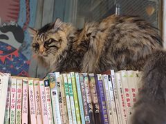 -小时光咖啡馆(开森度假森林店)