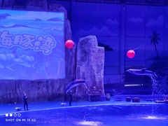 -华夏文旅海洋公园