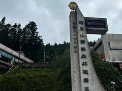 -阿里山神木遗迹
