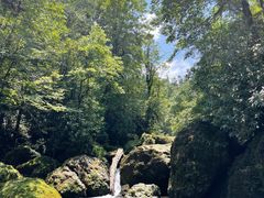 -龙苍沟森林公园