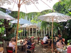 -Fern Forest Cafe