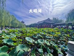 -济南大明湖景区