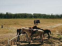 -野鸭湖国家湿地公园