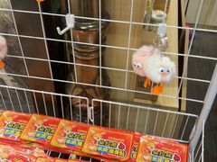 -巴依老爷新疆美食(清华东门店)