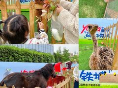 -成都泰迪熊博物馆