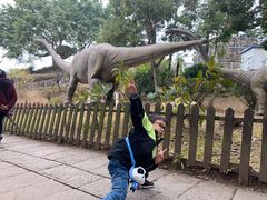 -自贡恐龙博物馆