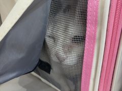 -贝利宠物医院·骨科·眼科·肿瘤转诊中心(南坪诊疗中心)