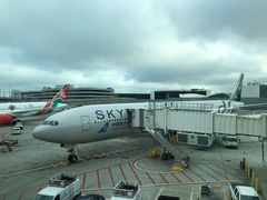 -约翰·菲茨杰拉德·肯尼迪国际机场