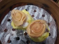 -添运来(茶园奥园广场店)