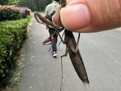 -苏州环秀晓筑养生度假村