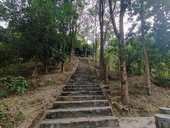 -风云岭森林公园