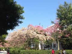 -广州大学华软软件学院新闻中心