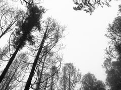 -鼓山风景区白云洞