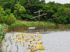 -上海吴淞炮台湾国家湿地公园