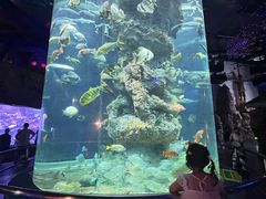 -芜湖新华联大白鲸海洋公园