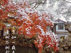 -惠山古镇·寄畅园