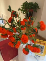 点击看大图 -Dr.林醫生产后修复·配方产康店(南京大厂店)