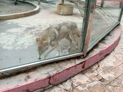 -荆州中山公园动物园