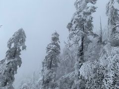 -瓦屋山景区