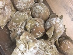 -袁记云饺(邯郸路店)