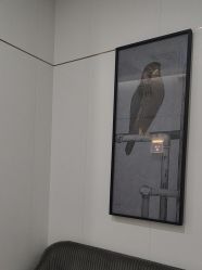 -AIST爱思特医疗美容医院