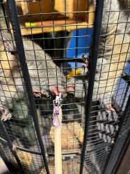 -酷嗒动物文化乐园(cutezoo西溪乐天城店)