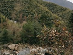-黄山翡翠谷景区