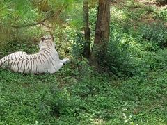-云南野生动物园