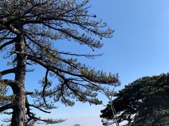 -黄山风景区