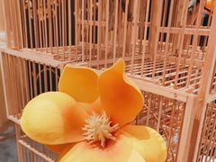 -君庭中餐厅(友谊宾馆店)