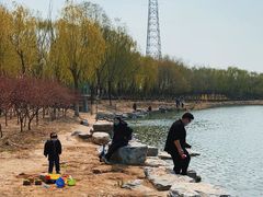 -大兴滨河森林公园