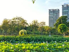 -顺峰山公园