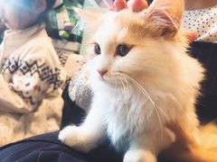 -平行世界·猫咖(首经贸店)