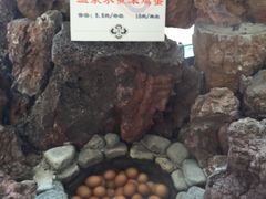 -陆地游轮吉林神农温泉
