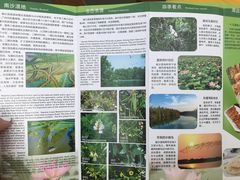 -大湾区中央湿地公园