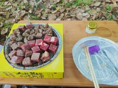 -南湖湿地公园