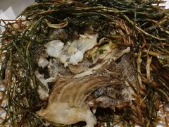 葱烤鸦片鱼头-新吉士·上海菜(浦东LCM置汇旭辉店)