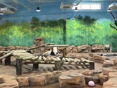 -秦皇岛野生动物园