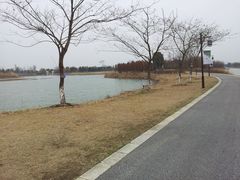-苏州太湖国家湿地公园