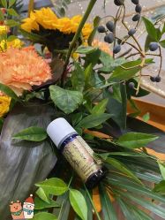 -芳香乐府疗愈空间·SPA·冥想