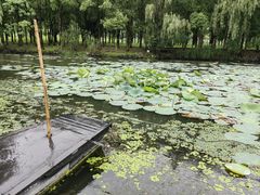-柯岩风景区