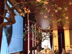 -俏江南天津时尚曲艺主题餐厅(马场道店)